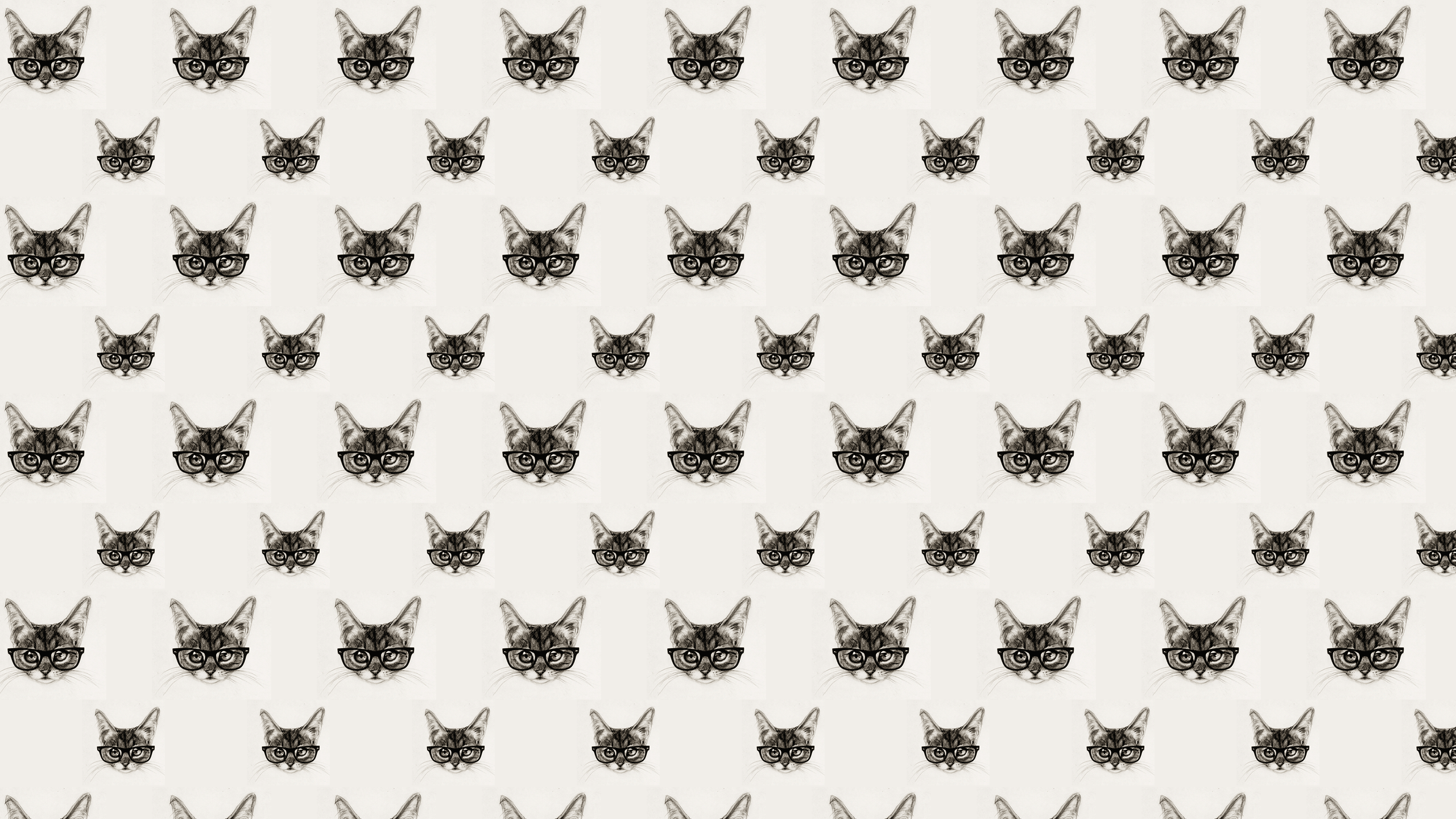 Cat Pattern Wallpaper Free Cat Pattern Background