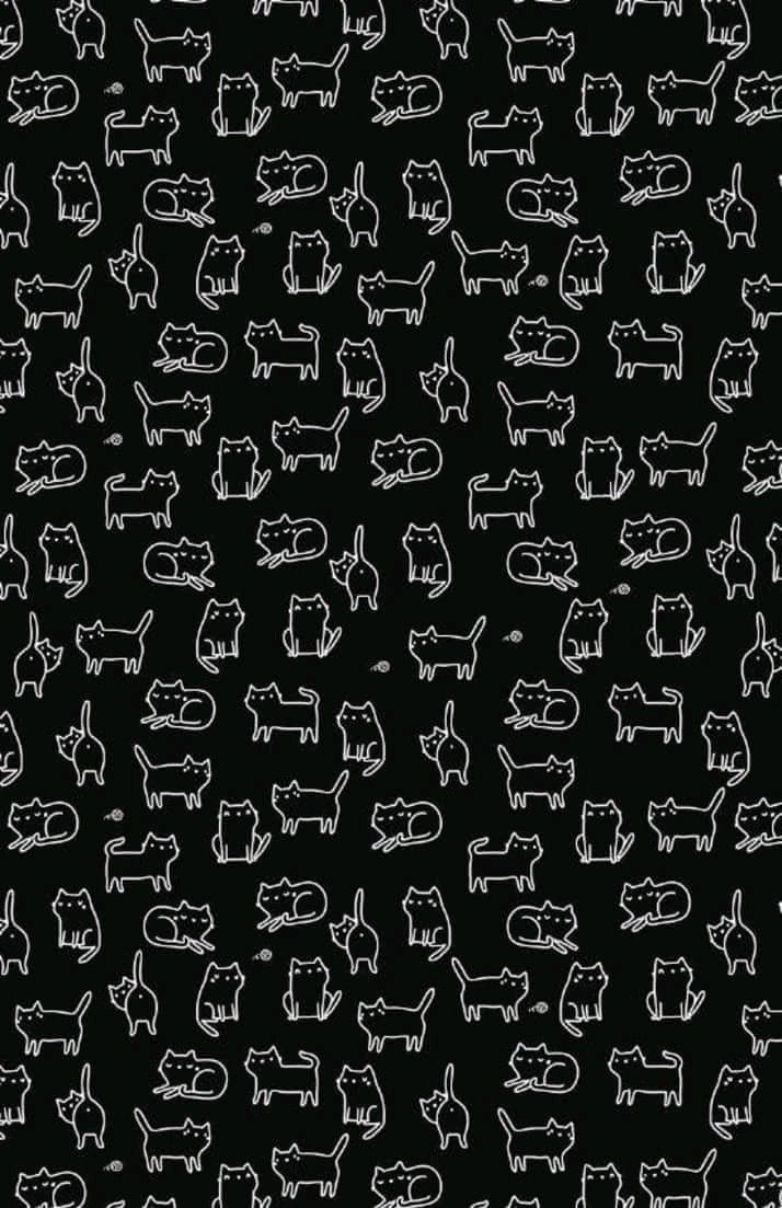 Cat Pattern Wallpapers  Top Free Cat Pattern Backgrounds  WallpaperAccess