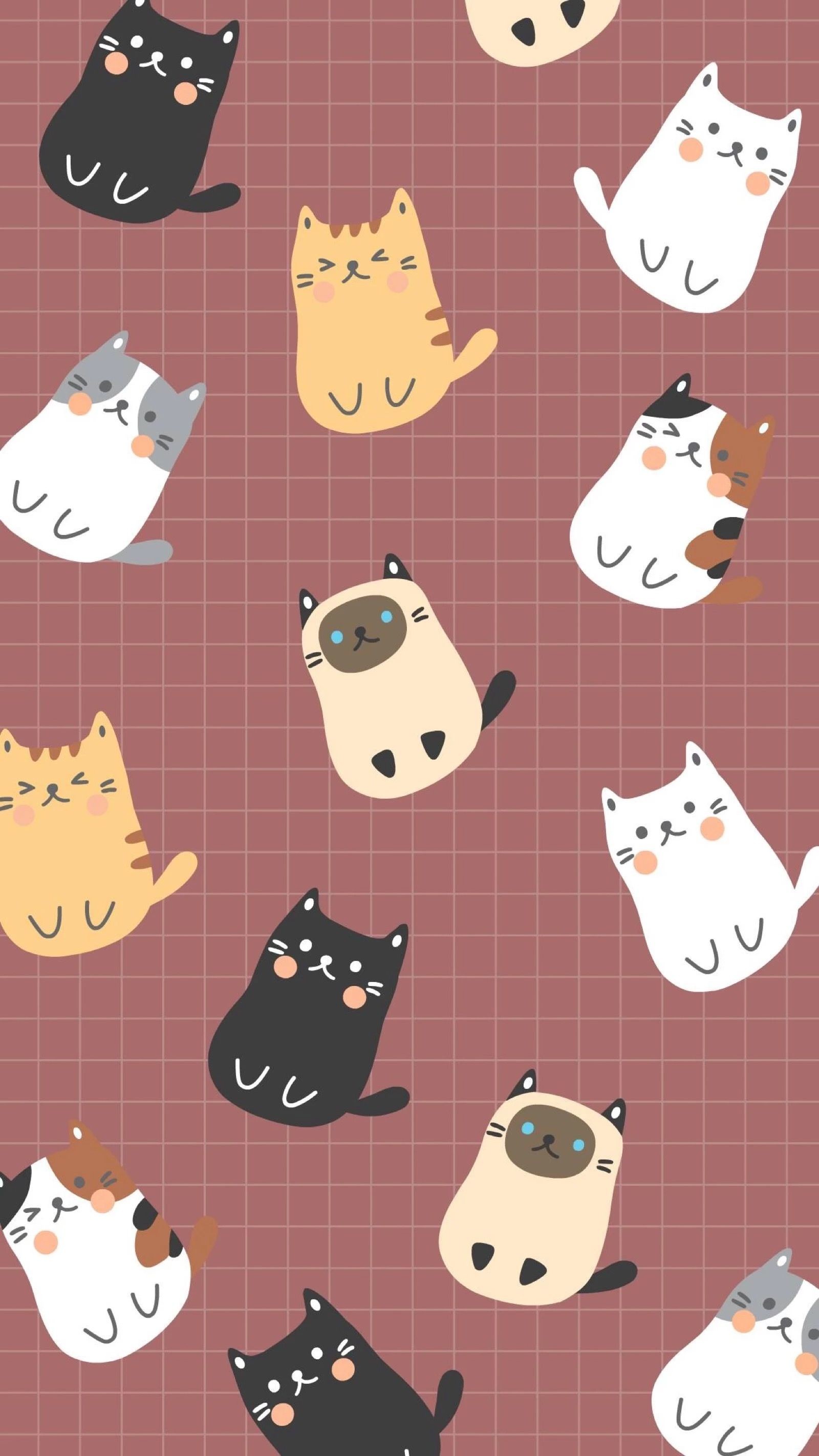 Cool iPhone Cute Cat Pattern Black Cat Wallpaper picture