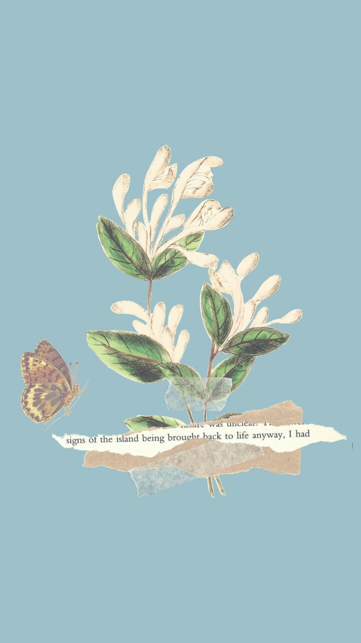 Aesthetic wallpaper coming through shared