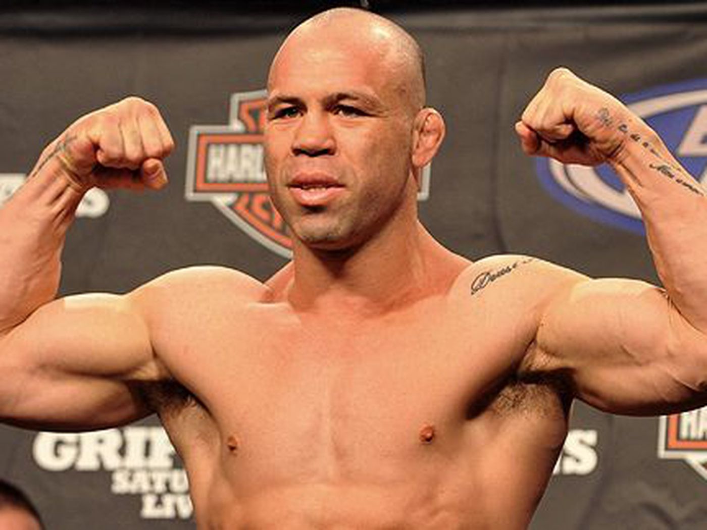 Wanderlei Silva Art