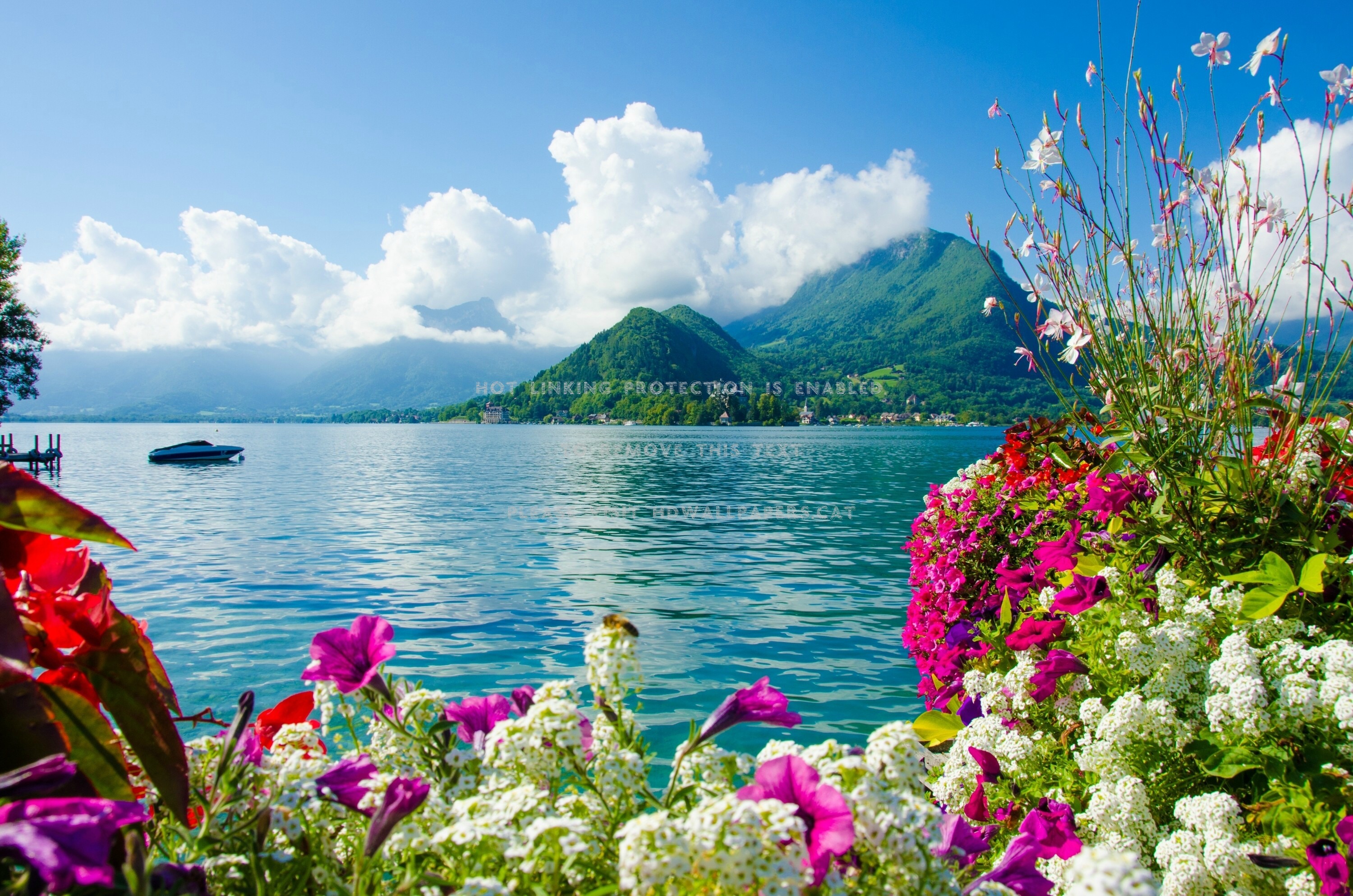 lake annecy france boat clouds flowers pier