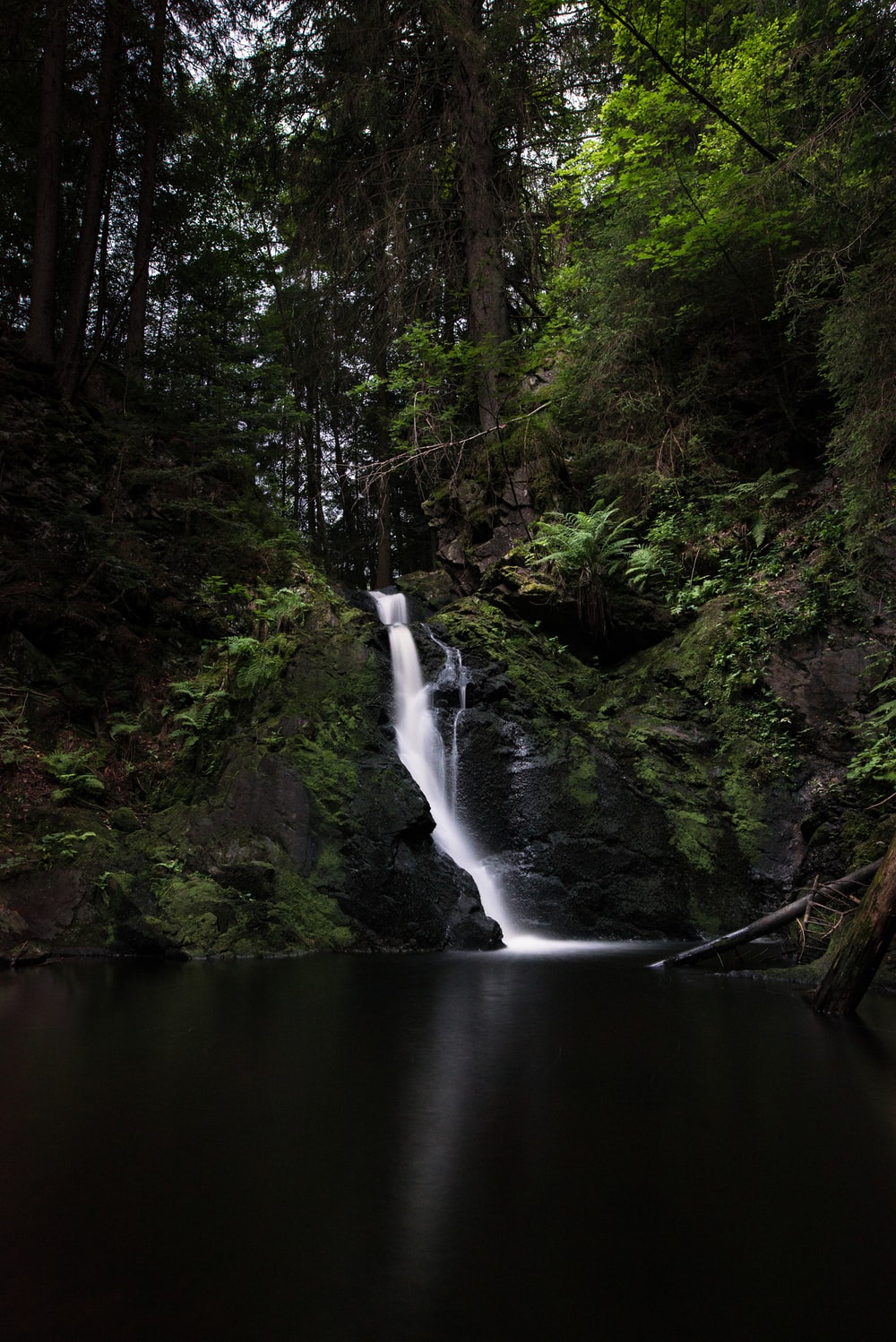 30,Black Forest, Germany Picture. Download Free Image
