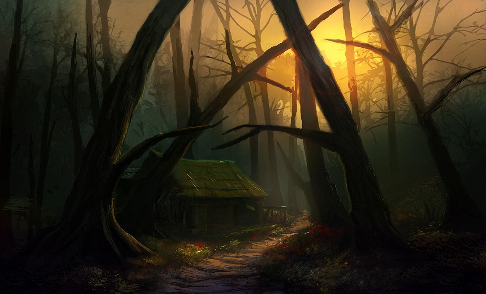 Black Forest Wallpaper