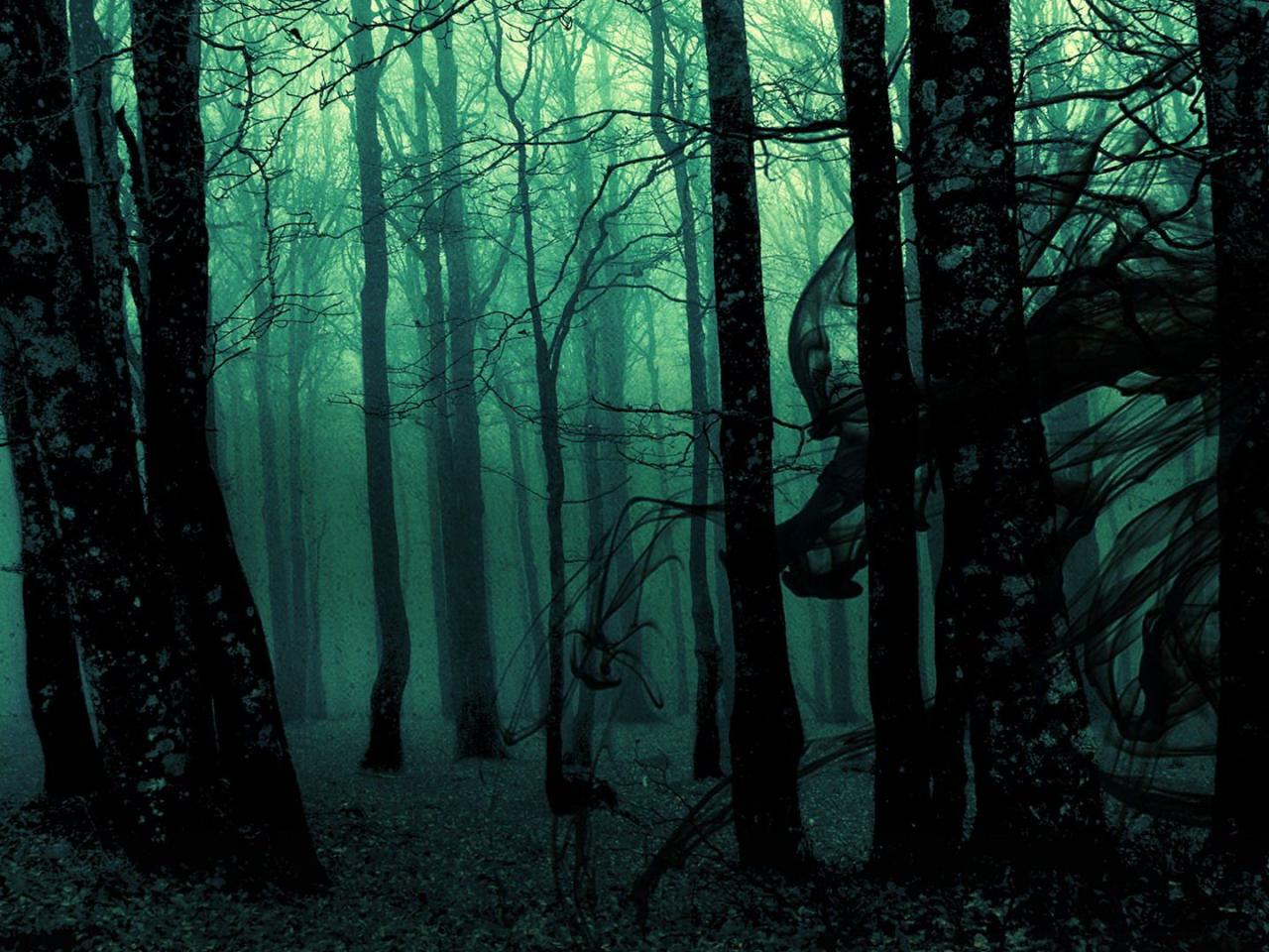 Black Forest Wallpaper