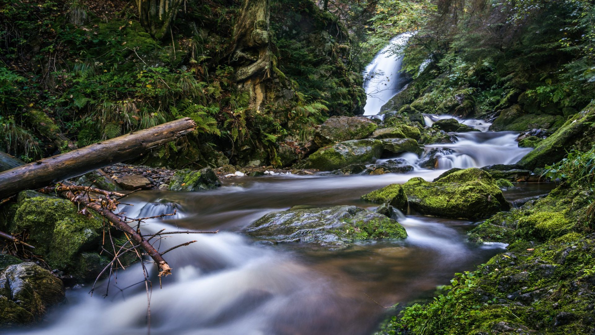 Baden Wurttemberg In The Schwarzwald Baar Kreis Sources Of The Danube Germany Desktop Wallpaper HD 2560x1600, Wallpaper13.com