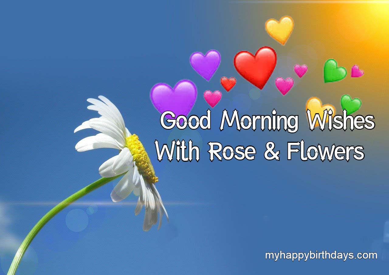 Beautiful Good Morning Wishes With Roses, Flowers (HD)