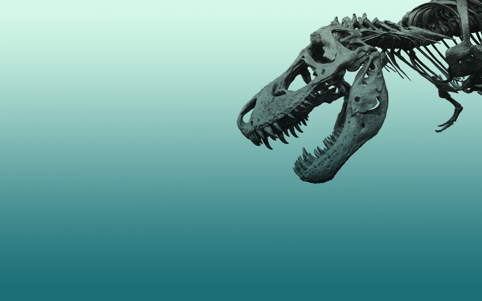Dinosaur Skeleton Wallpaper
