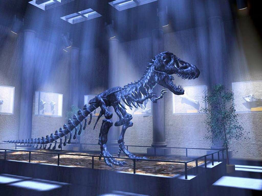 T Rex Skeleton