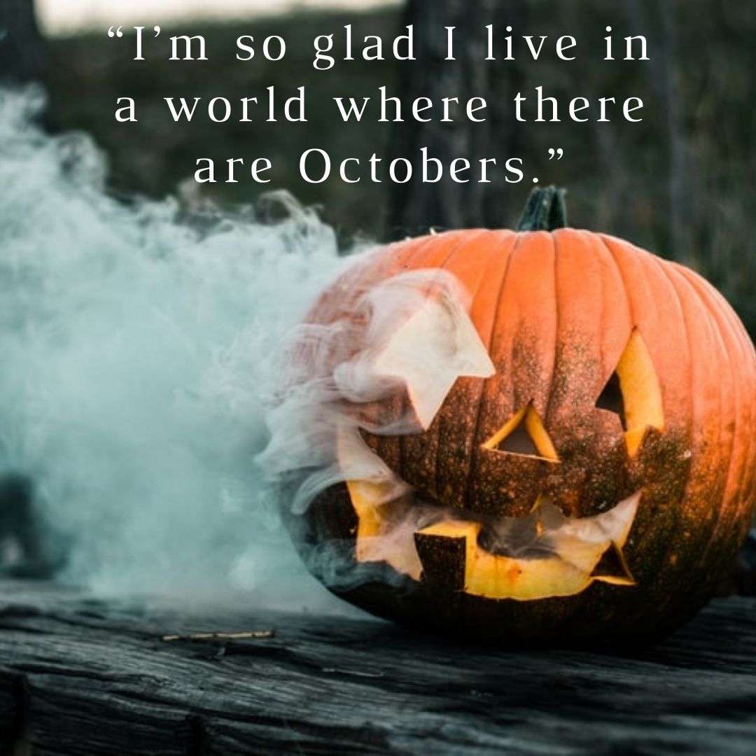 Halloween Memes Wallpapers - Wallpaper Cave