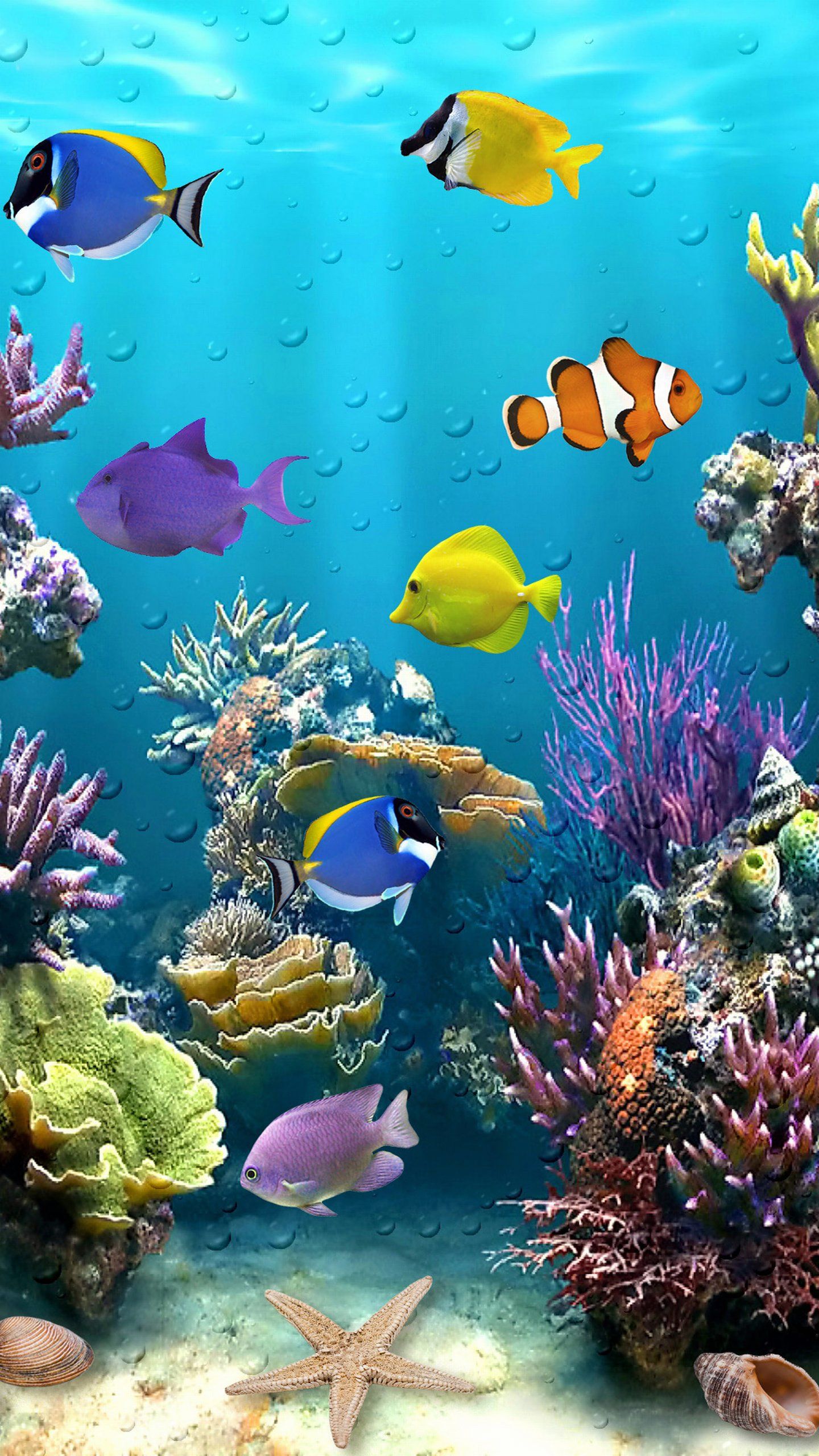 Underwater Fish Wallpaper Free Underwater Fish Background