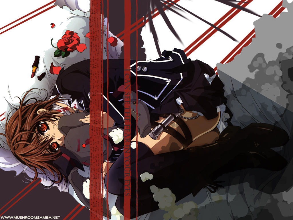 Vampire Knight, HD Wallpaper - Zerochan Anime Image Board