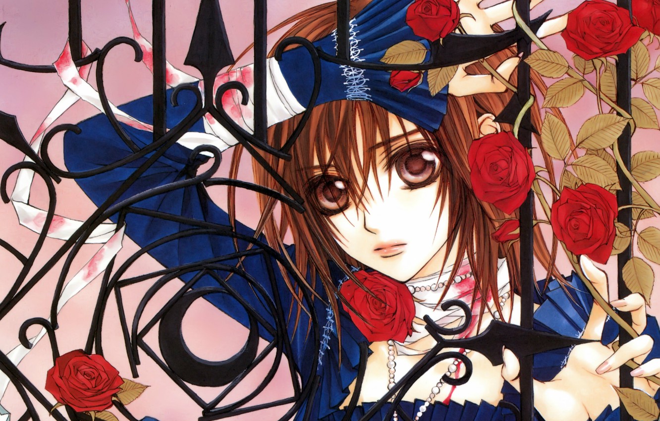 Wallpaper Fence, Art, Vampire Knight, Yuuki Cross, Knight Vampire, Blue Dress, Red Roses, Matsuri Hino Image For Desktop, Section сёнэн