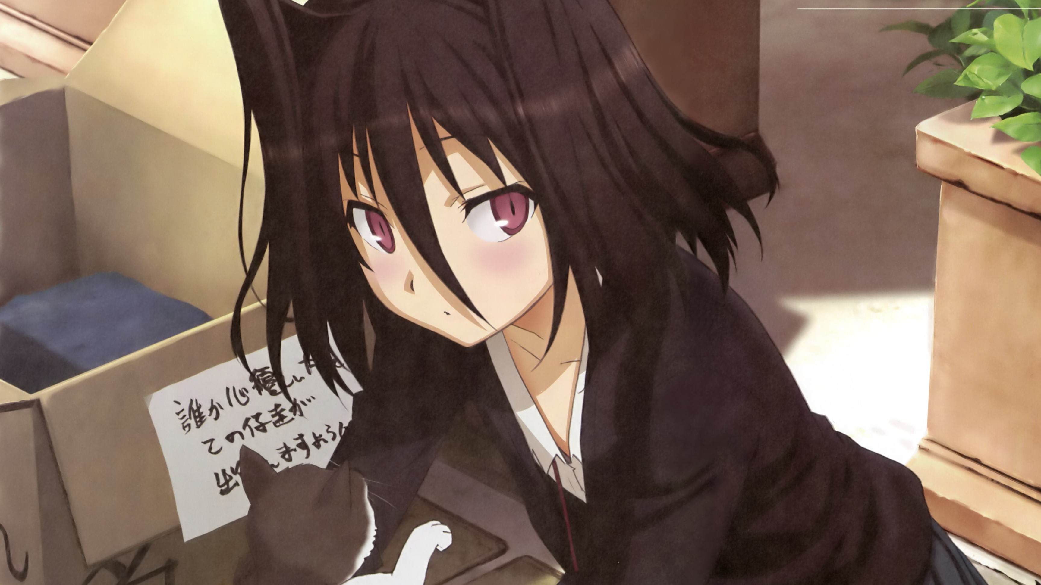 Koi To Senkyo To Chocolate HD Wallpaper