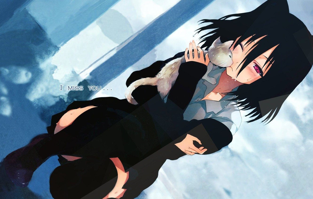 Wallpaper cat, Love, girl, ears, tears, Morishita Michiru, I miss You, Koi to Senkyo to Chocolate, Election and Chocolate image for desktop, section прочее