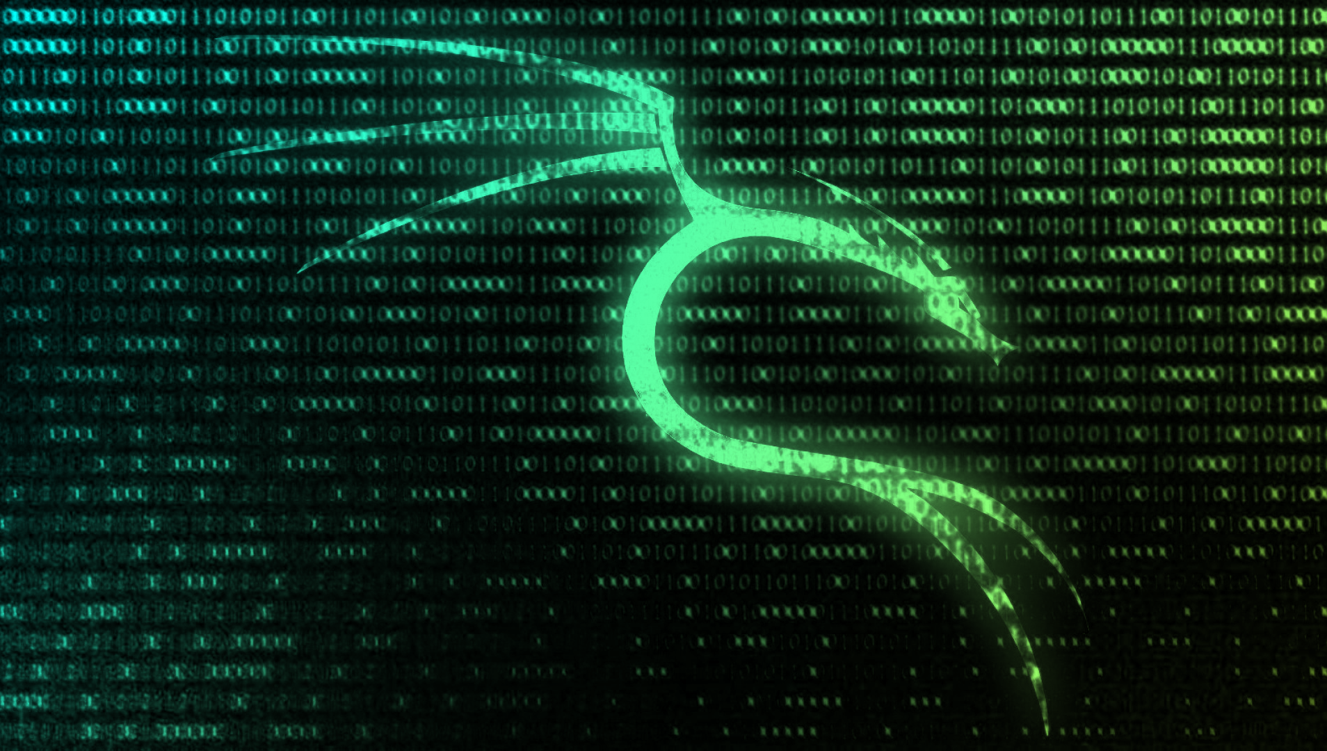 hacking-skills-wallpapers-wallpaper-cave
