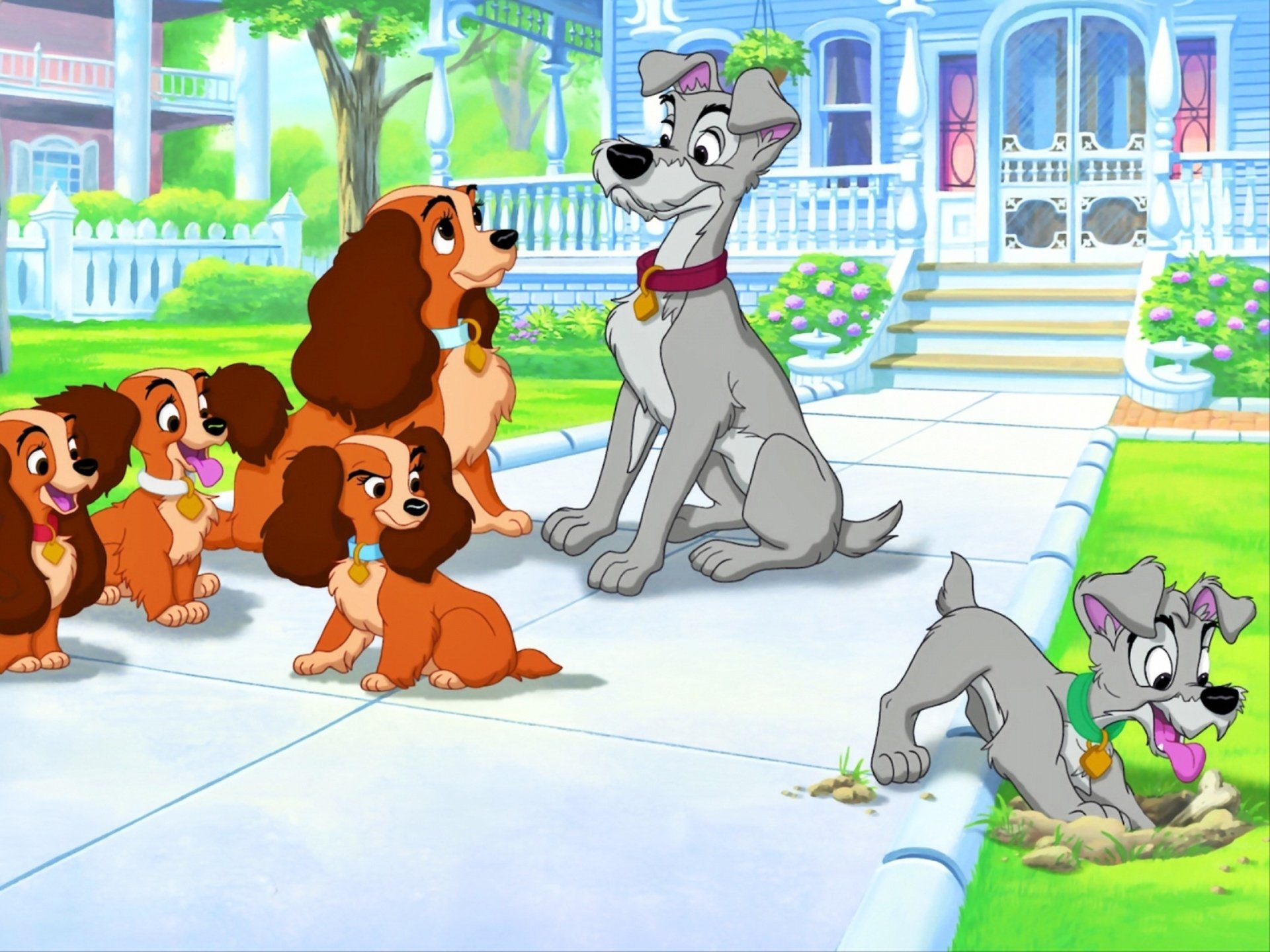 Lady And The Tramp II: Scamp's Adventure HD Wallpaper