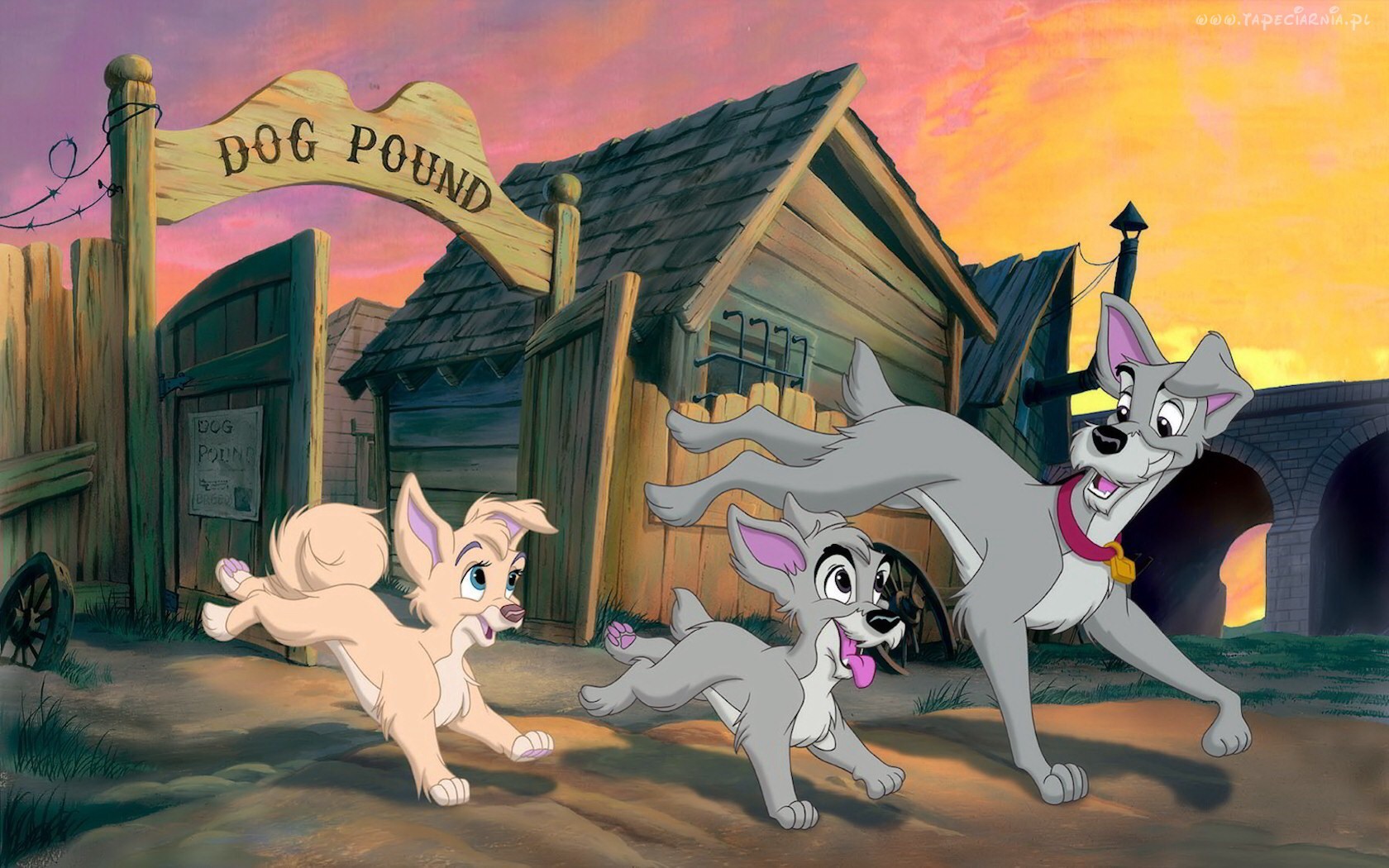 Lady And The Tramp II: Scamp's Adventure Gallery