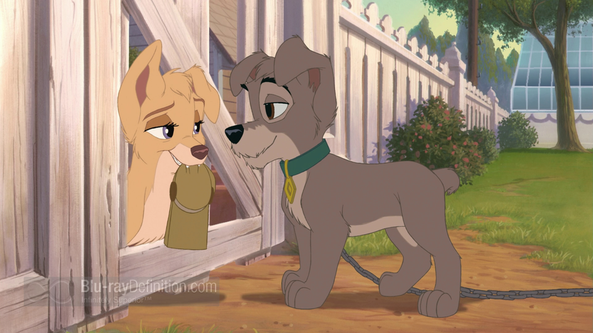 Lady And The Tramp II: Scamp's Adventure wallpaper, Movie, HQ Lady And The Tramp II: Scamp's Adventure pictureK Wallpaper 2019