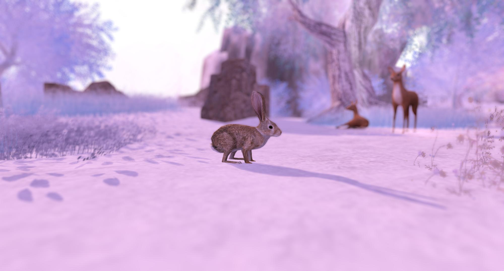 Wallpaper, landscape, animals, nature, sky, snow, ice, wildlife, pink, Freezing, tree, soft, cute, rabbit, blizzard, secondlife, fauna, winter storm 2000x1076