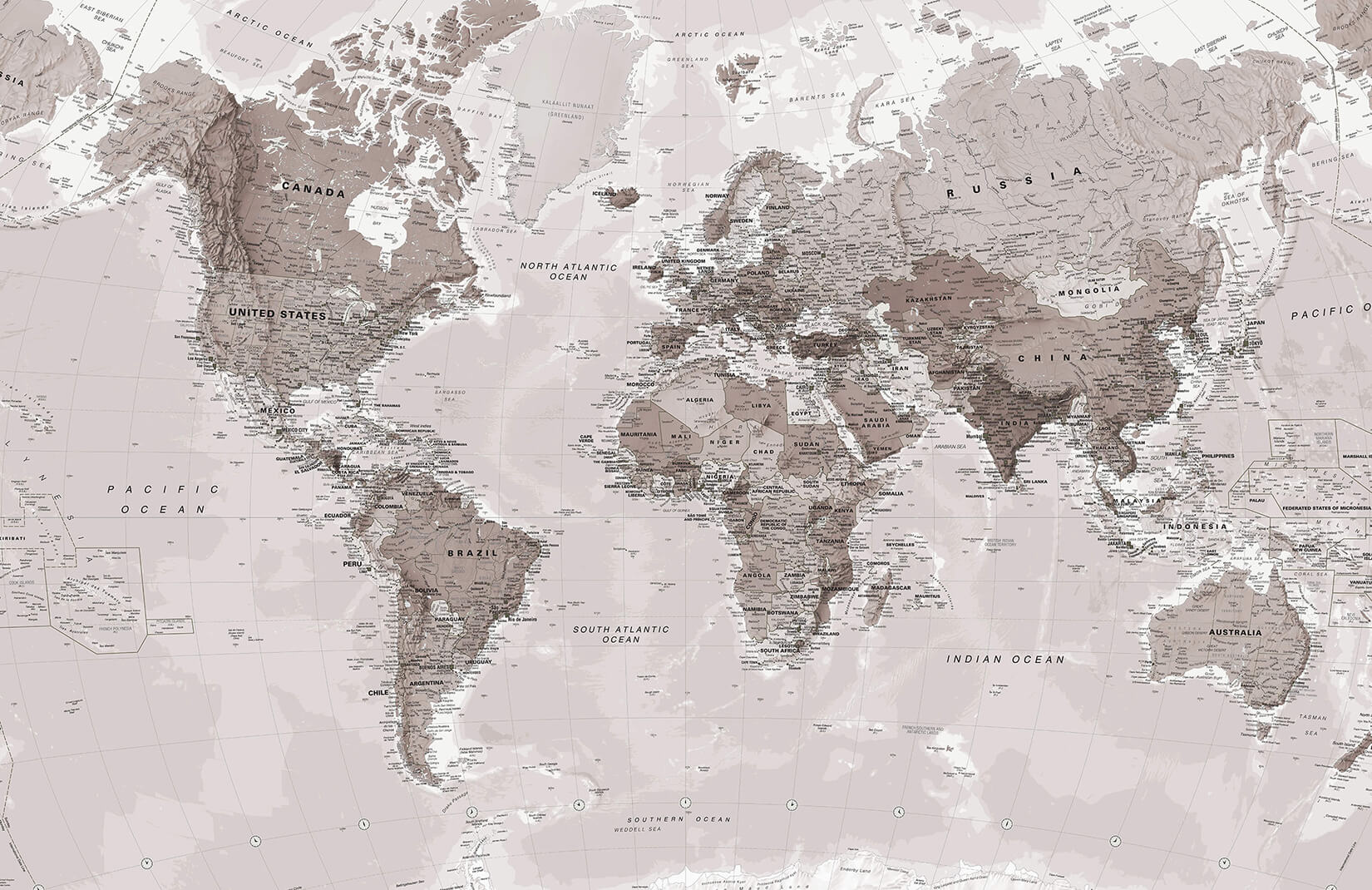 Neutral Color World Map Wallpaper Mural