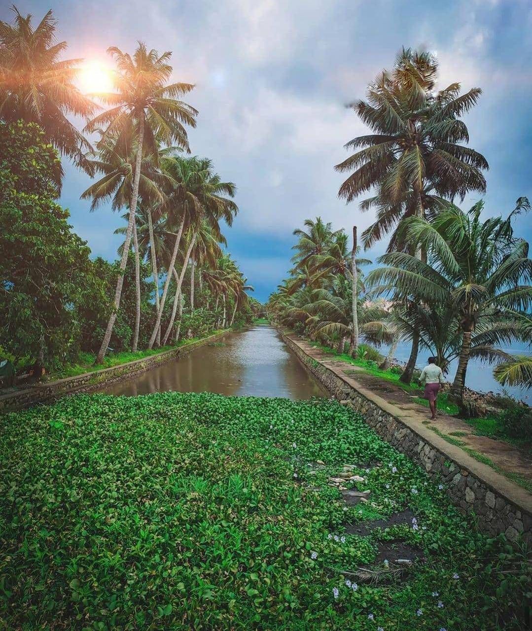 Kerala wallpaper. Kerala, Beautiful wallpaper, Wallpaper