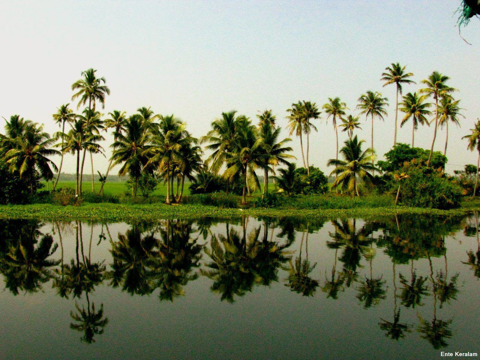 Kerala Wallpaper