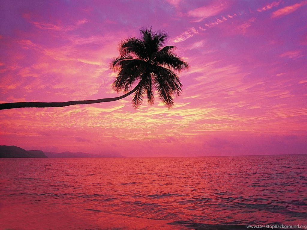 Wallpaper Kerala Nature Beauty Desktop Background