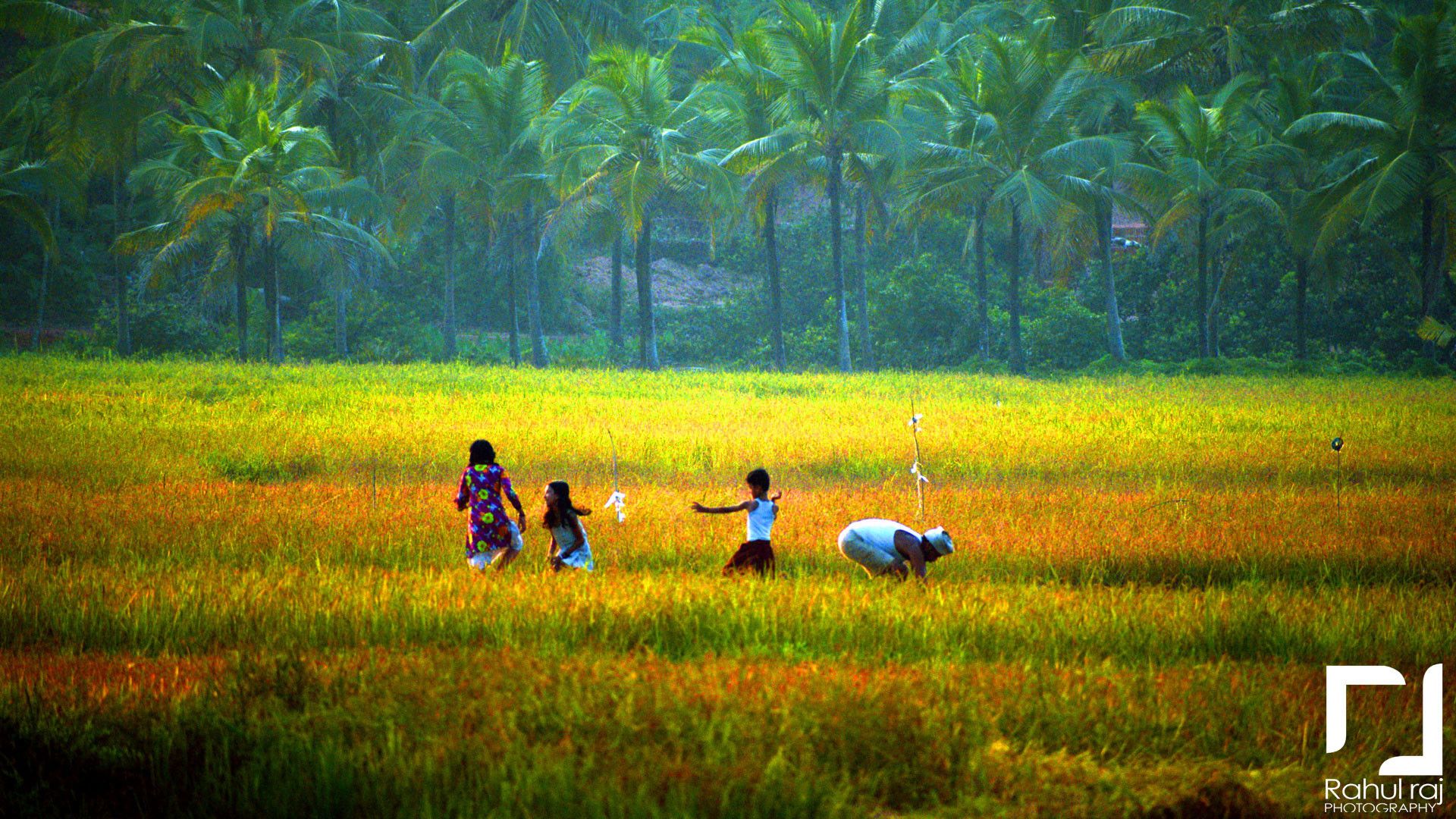 Kerala Nature Wallpaper