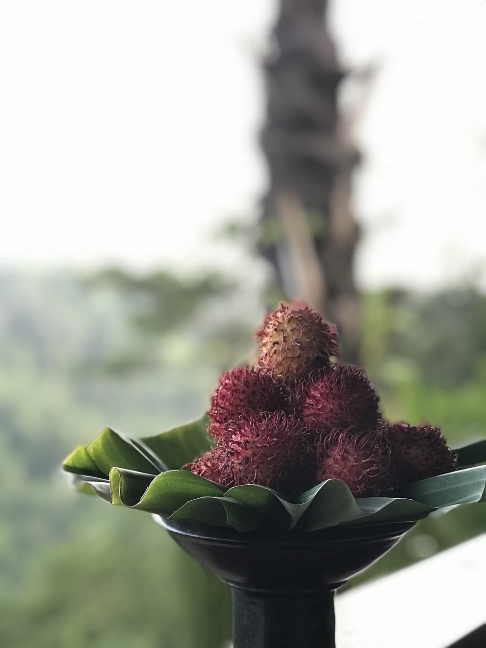 Rambutan Wallpapers - Wallpaper Cave