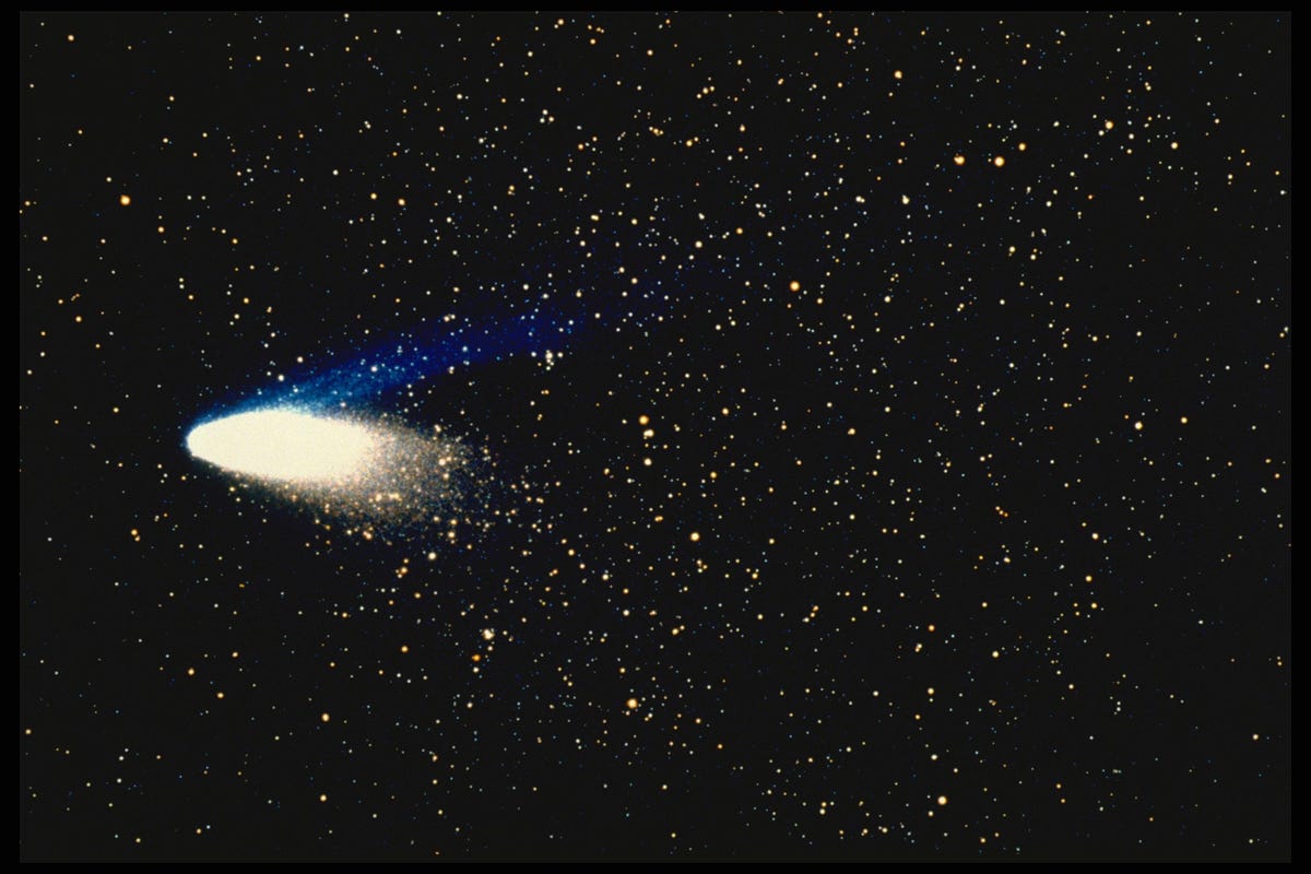 Halley's Comet