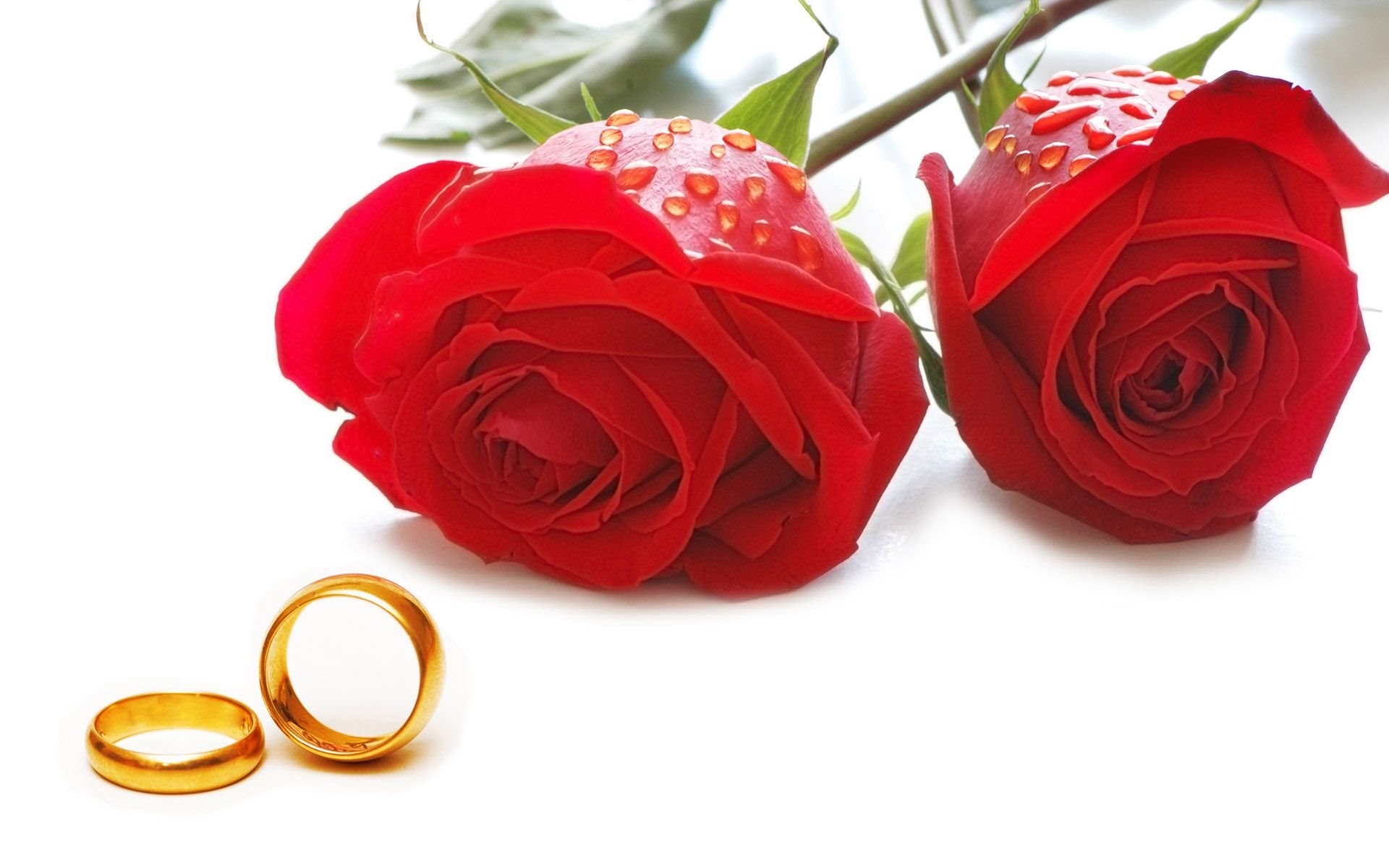 Red Wedding Wallpapers Wallpaper Cave