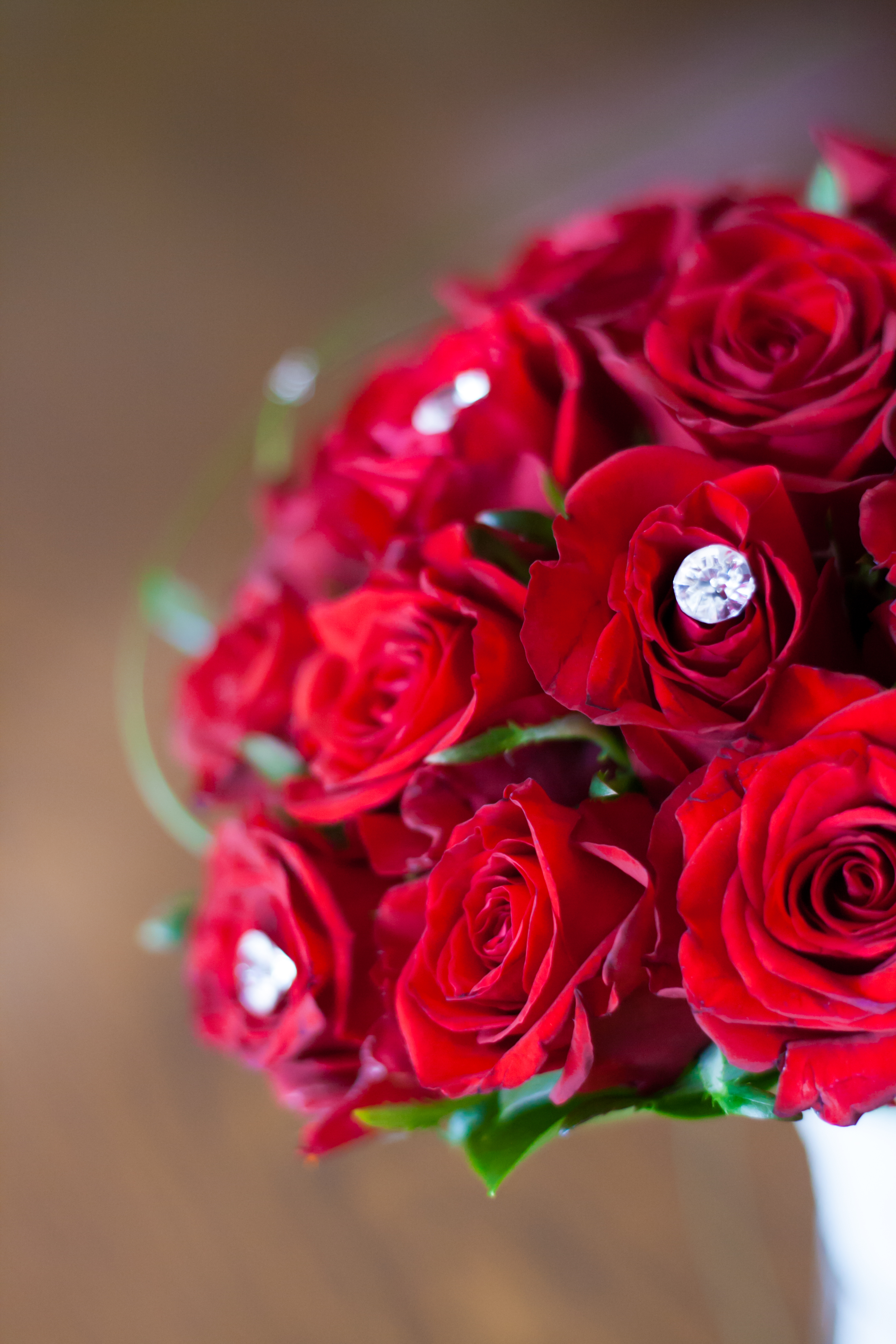 Red roses: bridal bouquet · Free