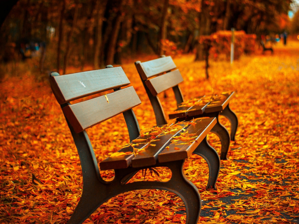 Desktop wallpaper fall, autumn, leaves on path, benches, garden, HD image, picture, background, 28fa4b