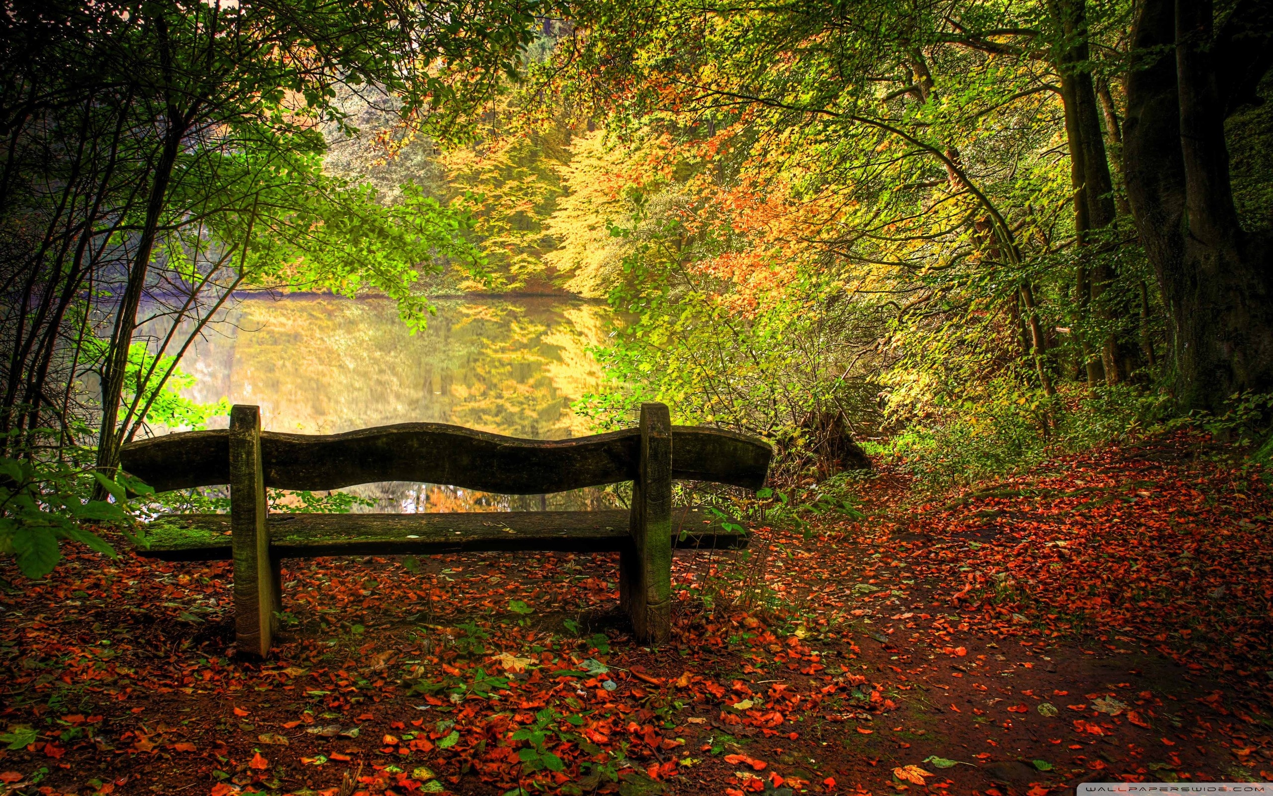 Free download Autumn Wallpaper Empty Bench In Fall Scene [2560x1600] for your Desktop, Mobile & Tablet. Explore Free Desktop Wallpaper Fall Scenes. Free Fall Wallpaper For Desktop, Free Fall