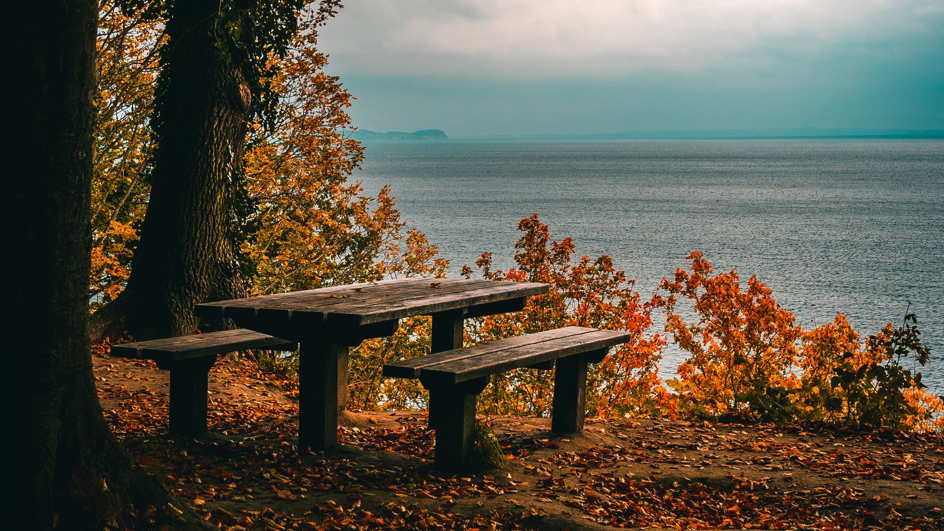 Download wallpaper 1920x1080 autumn, benches, table, sea, shore, trees, foliage full hd, hdtv, fhd, 1080p HD background