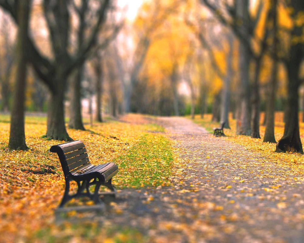 Autumn Benches Wallpapers - Wallpaper Cave