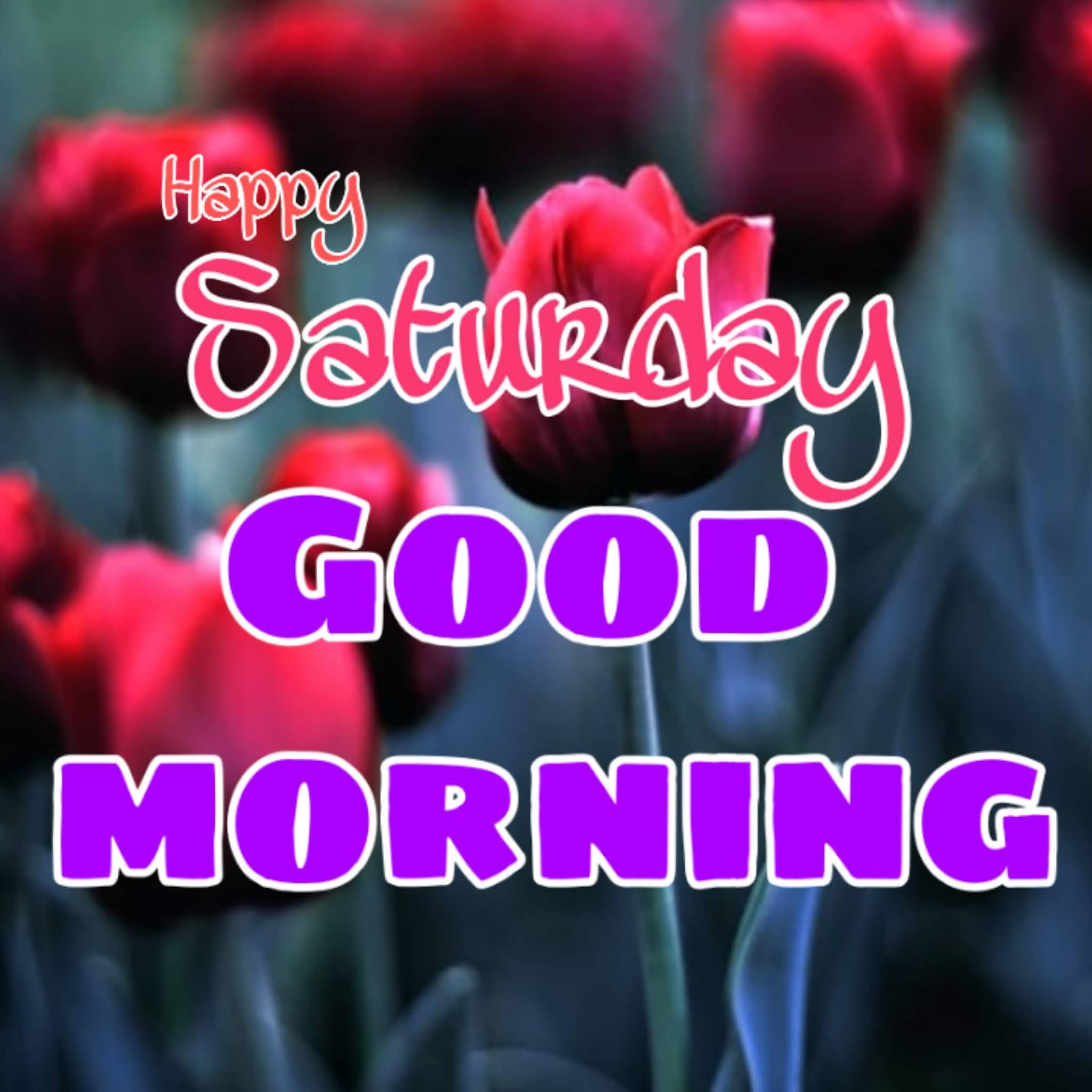 Good morning Flower Wallpapers APK for Android Download