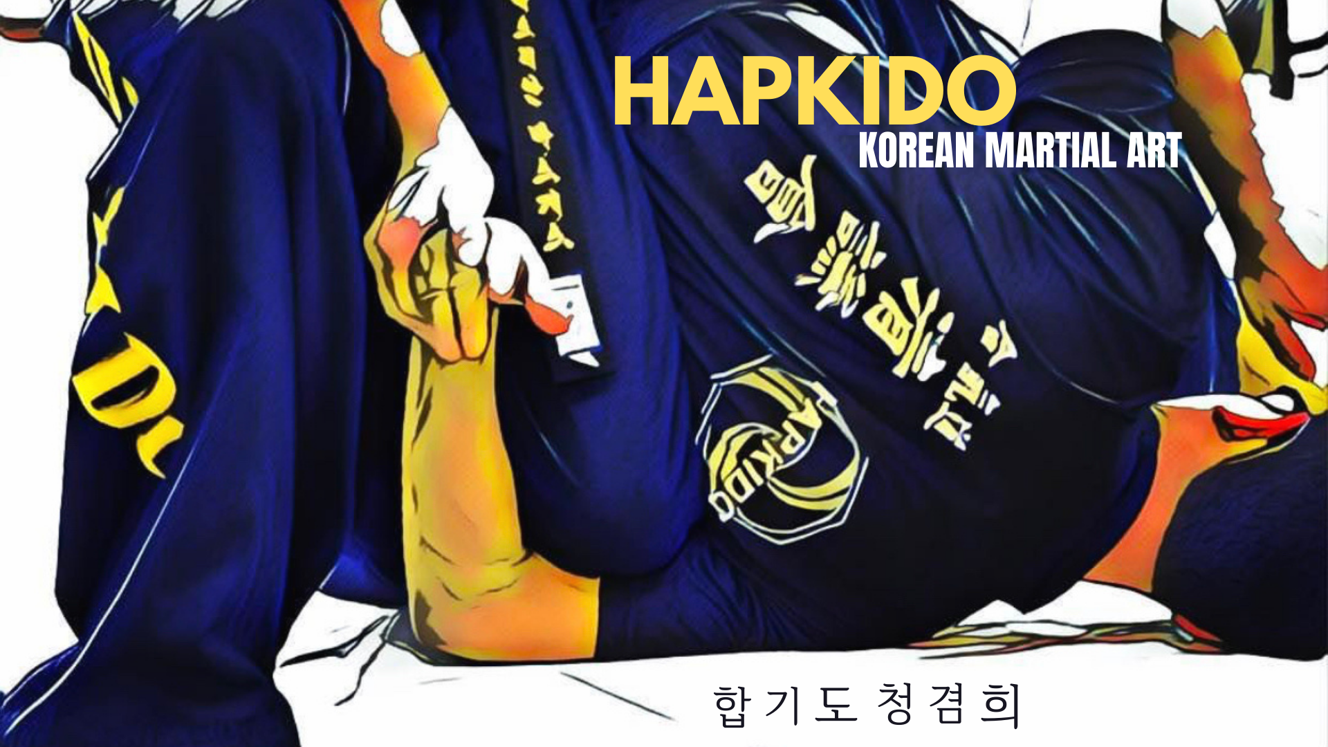 Hapkido Korean Martial Arts Korean Wallpaper:1920x1080