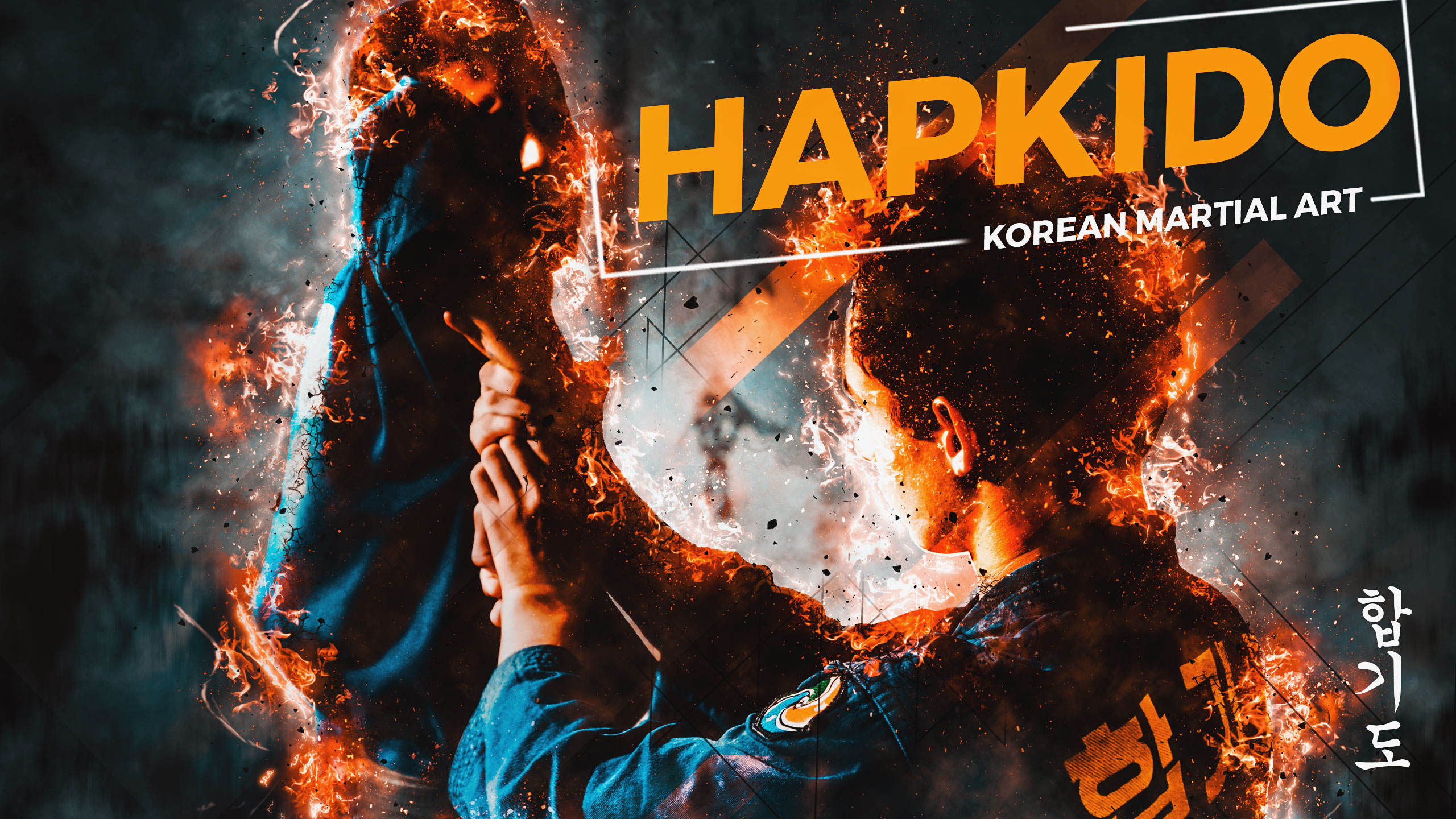 Wallpaper, korean martial arts, hapkido, HAPKIDO CKA 2560x1440