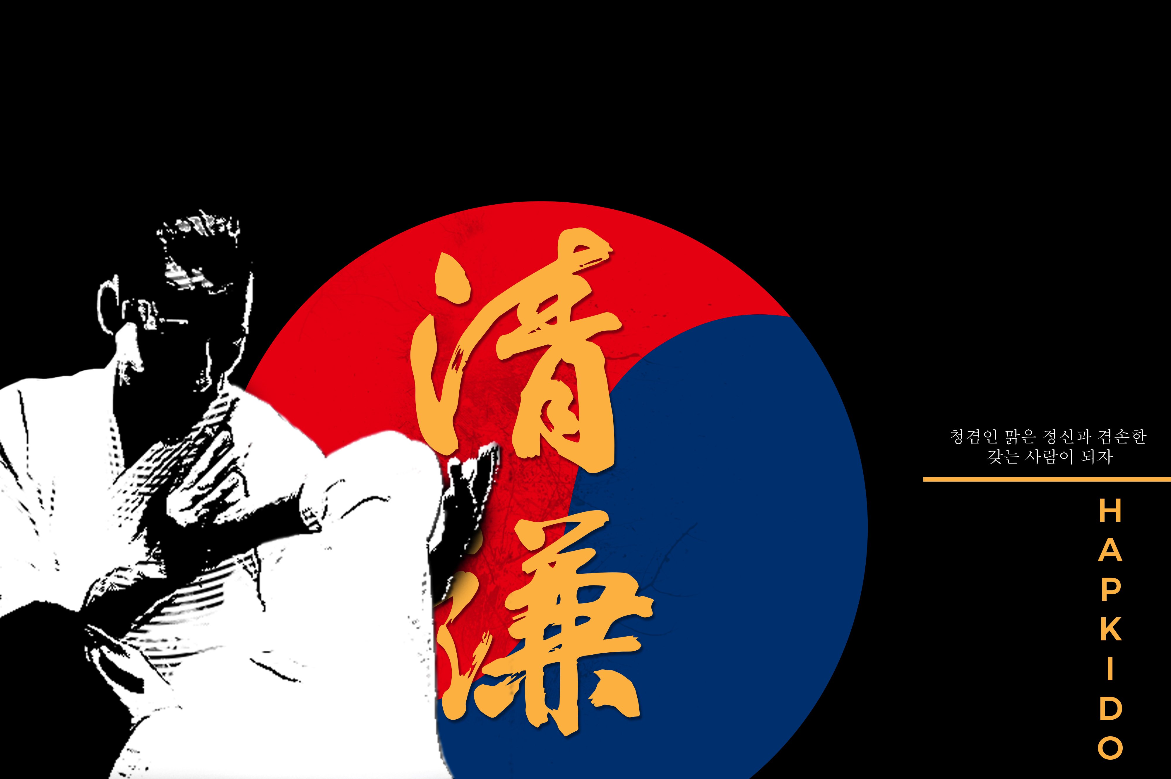 Wallpaper, hapkido, martial arts, korean martial arts 4000x2664