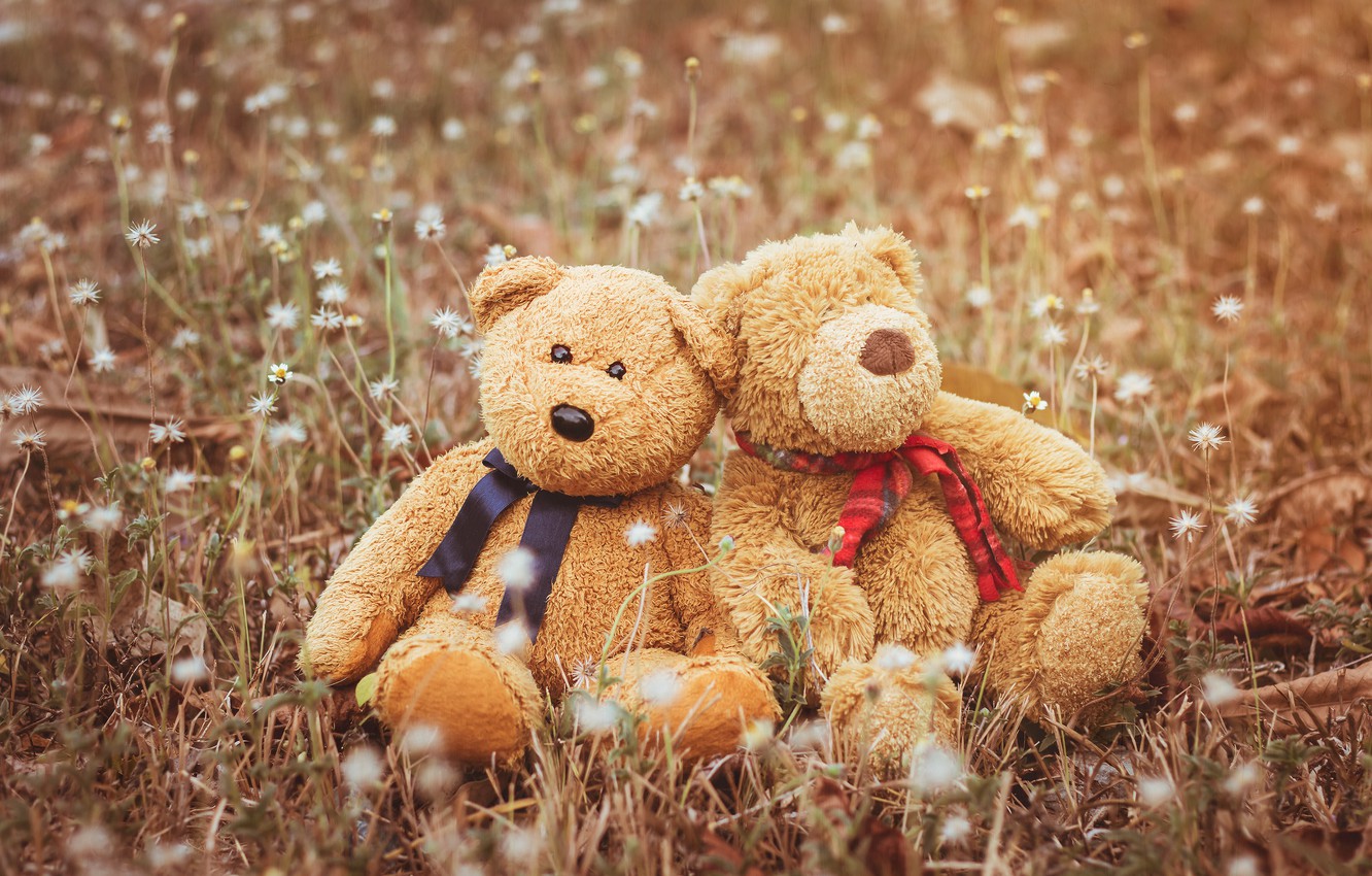 Teddy Couple Wallpapers - Wallpaper Cave