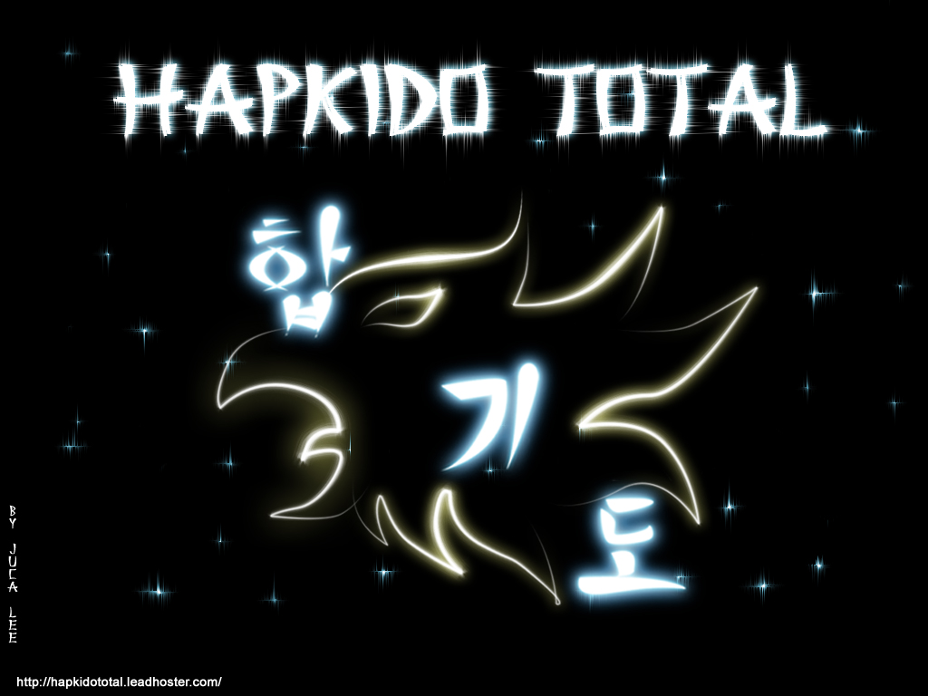 Hapkido Photo Image: Ravepad place to rave about anything and everything!