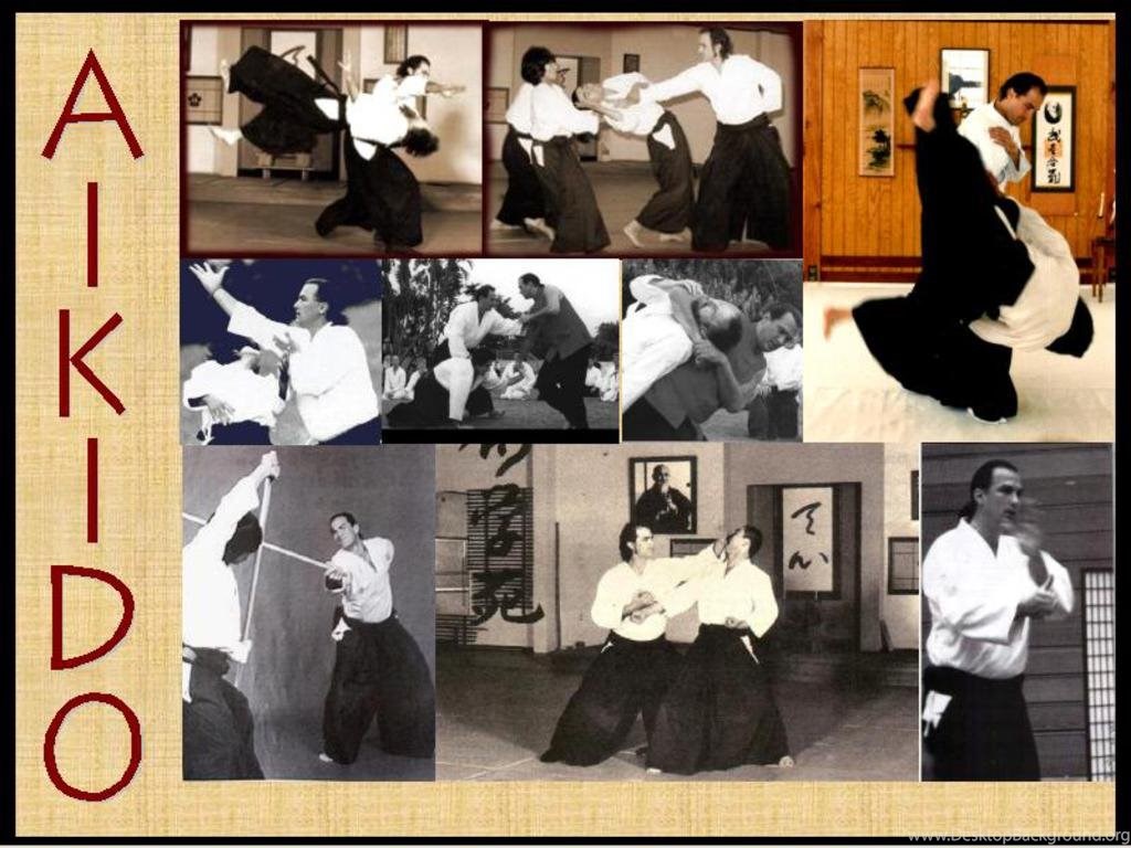 Wallpaper Hapkido Aikido The Free Steven Seagel Promoting. Desktop Background