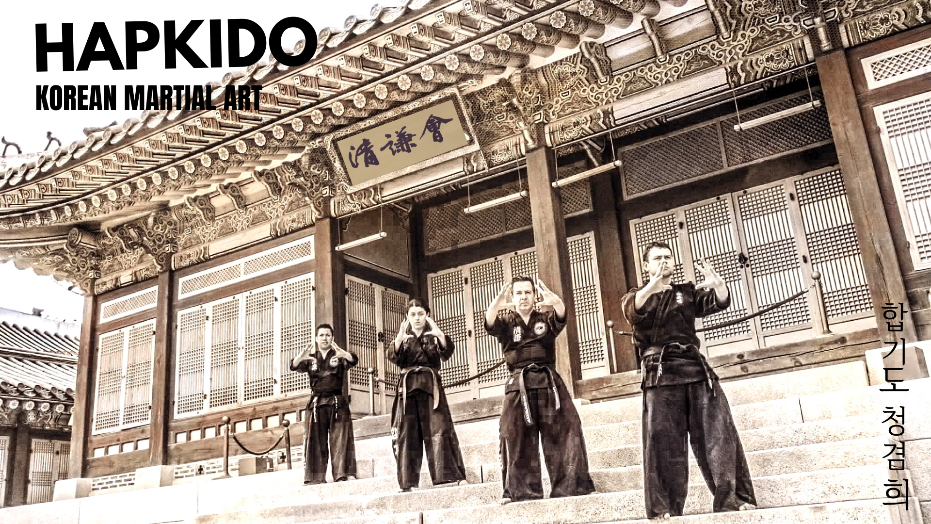 Korean Hapkido Wallpaper:1920x1080