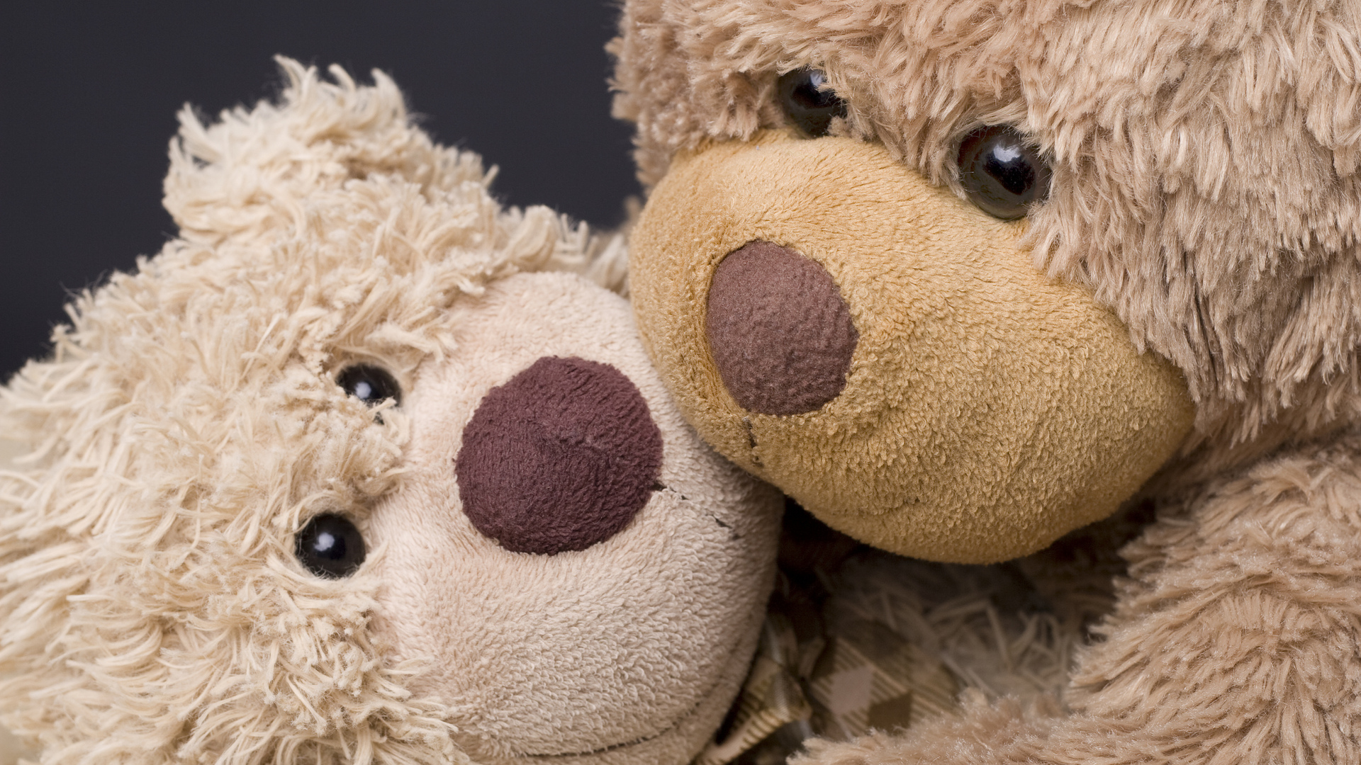 Teddy Couple Wallpapers - Wallpaper Cave