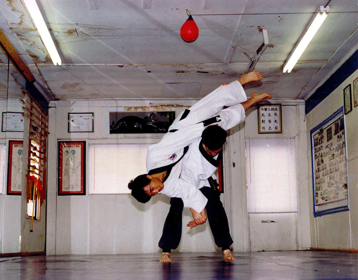 Hapkido Photo Image: Ravepad place to rave about anything and everything!