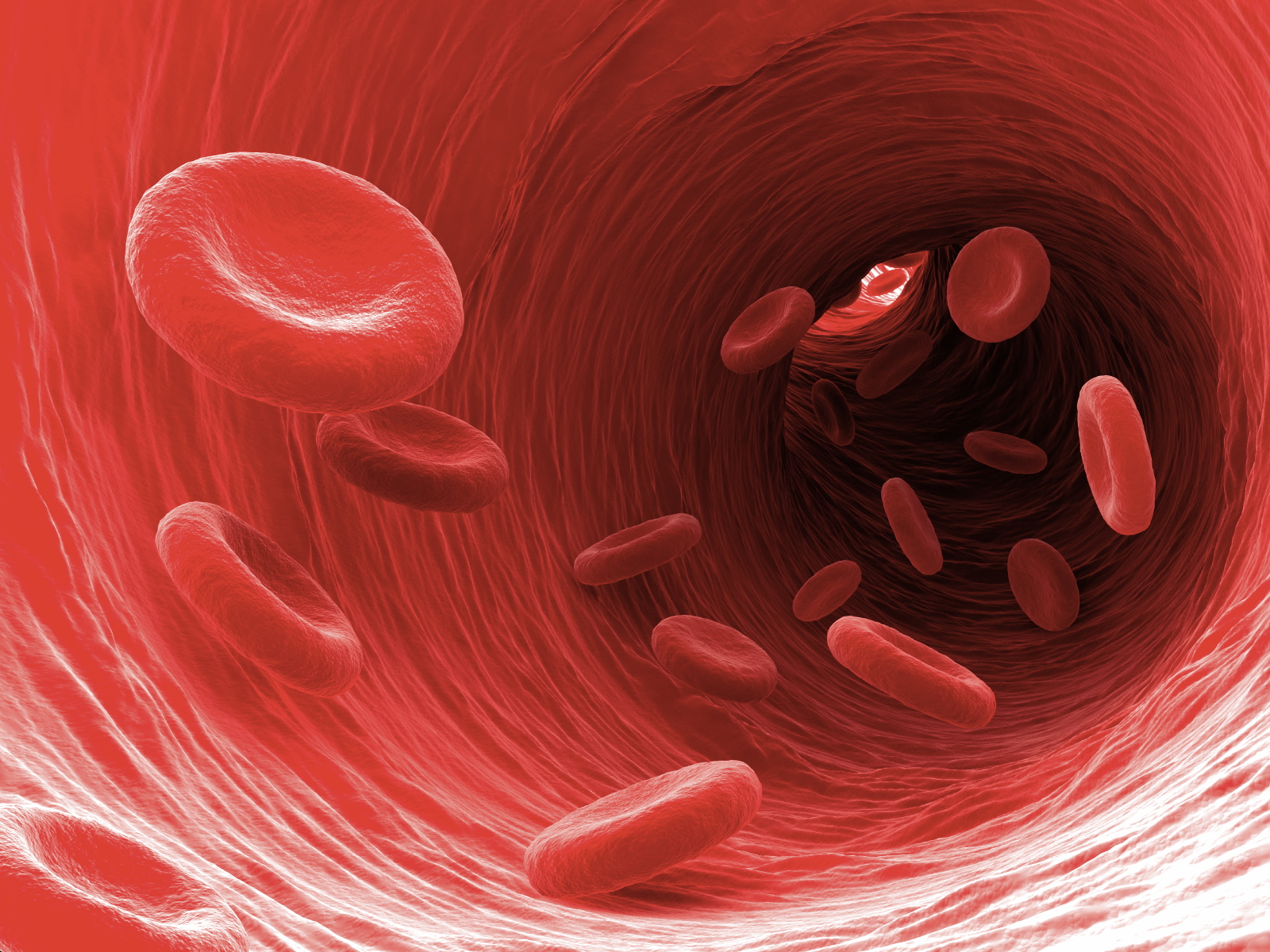 Red Blood Cells , 1600x1200. All For Desktop