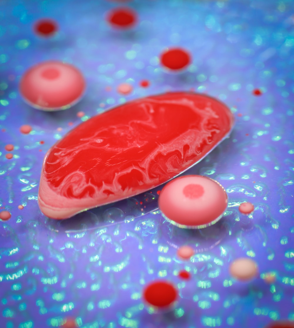 Blood Cell Picture. Download Free Image