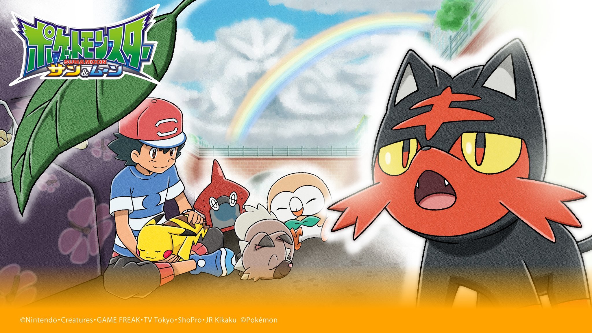 Litten (Pokémon) HD Wallpaper